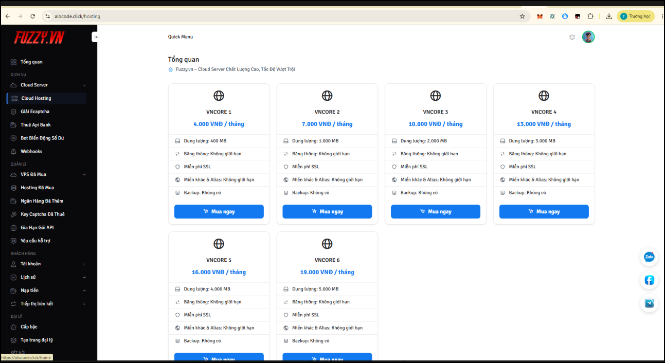 Code bán hosting , vps, thuê api bank giải captcha v3 của cmstdev - ảnh 4